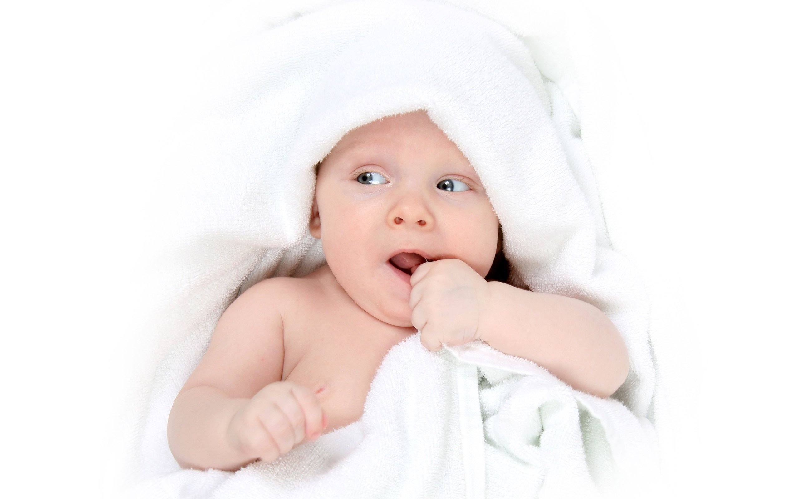 供卵代怀试管婴儿基础卵泡
